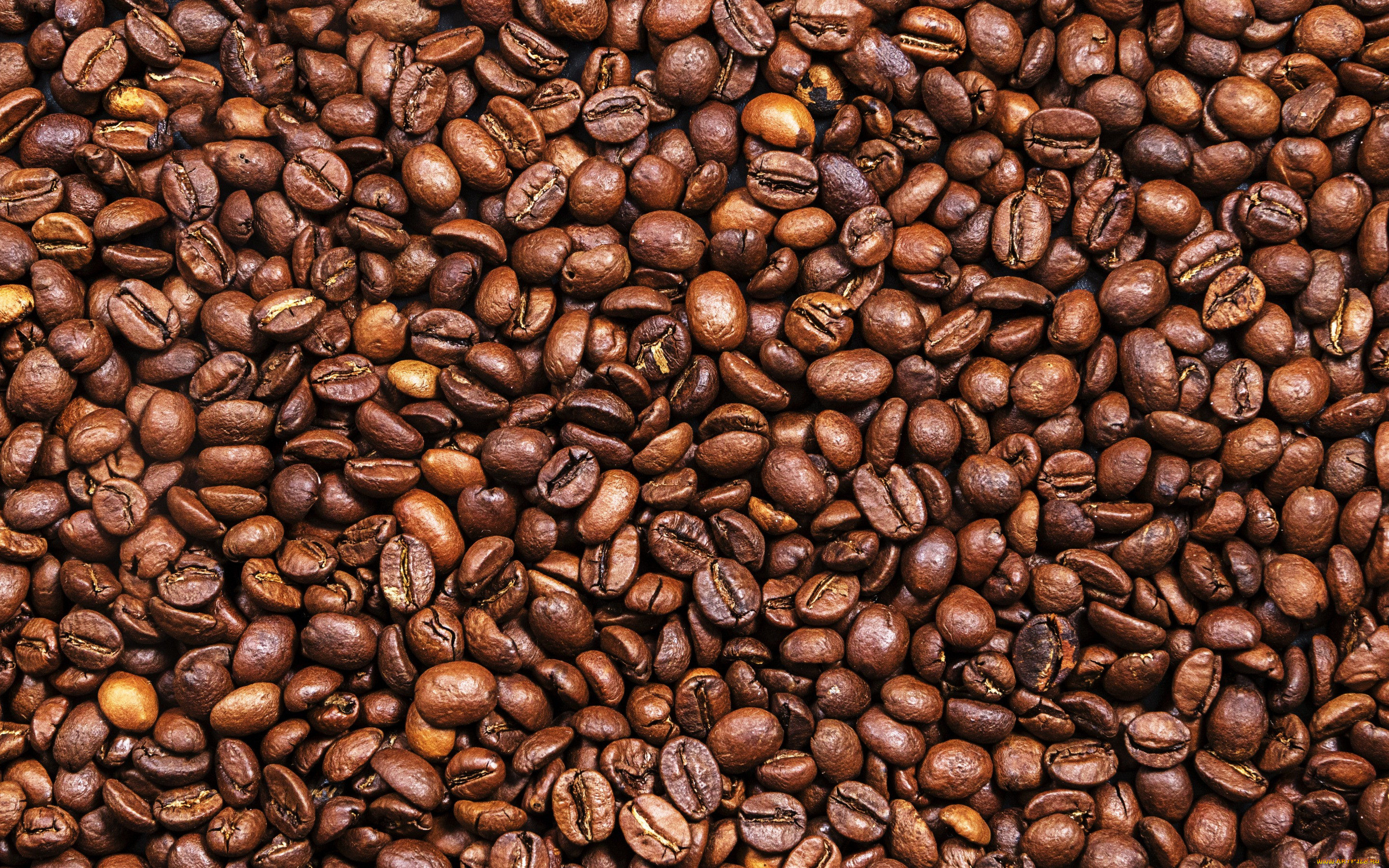 , ,   , roasted, coffee, beans, background, texture, , 